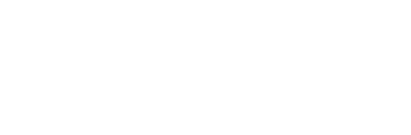 DevinoPolitist Logo